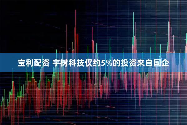 宝利配资 宇树科技仅约5%的投资来自国企