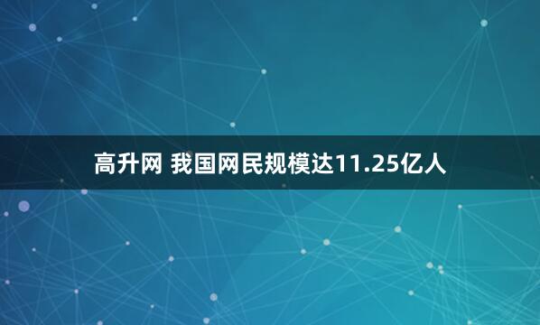 高升网 我国网民规模达11.25亿人