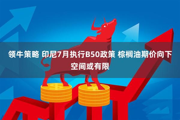 领牛策略 印尼7月执行B50政策 棕榈油期价向下空间或有限